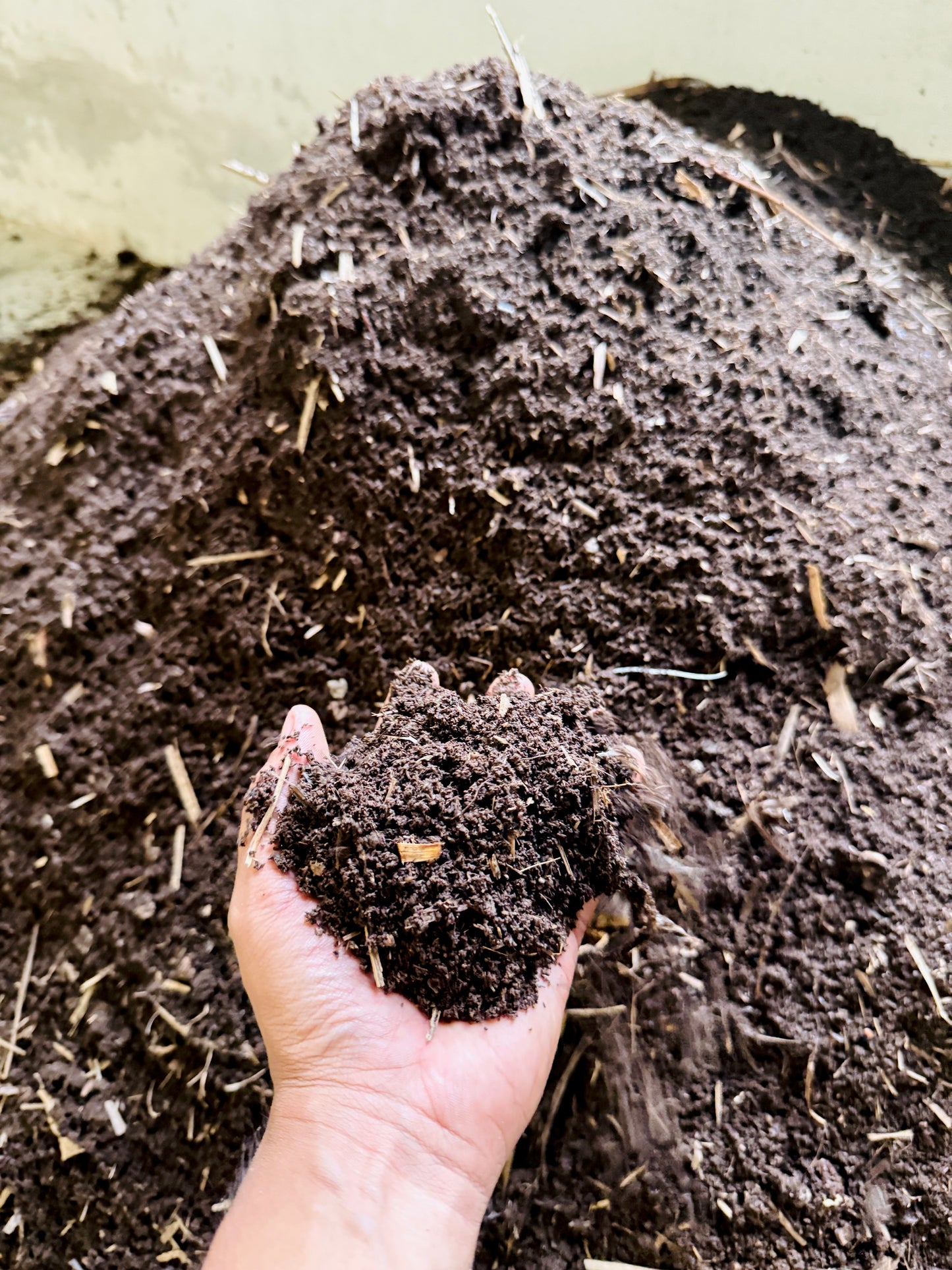 Vermicompost 50 kg - Organic Fertilizer / Manure