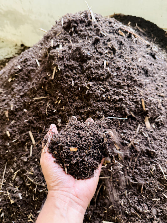 Vermicompost 50 kg - Organic Fertilizer / Manure